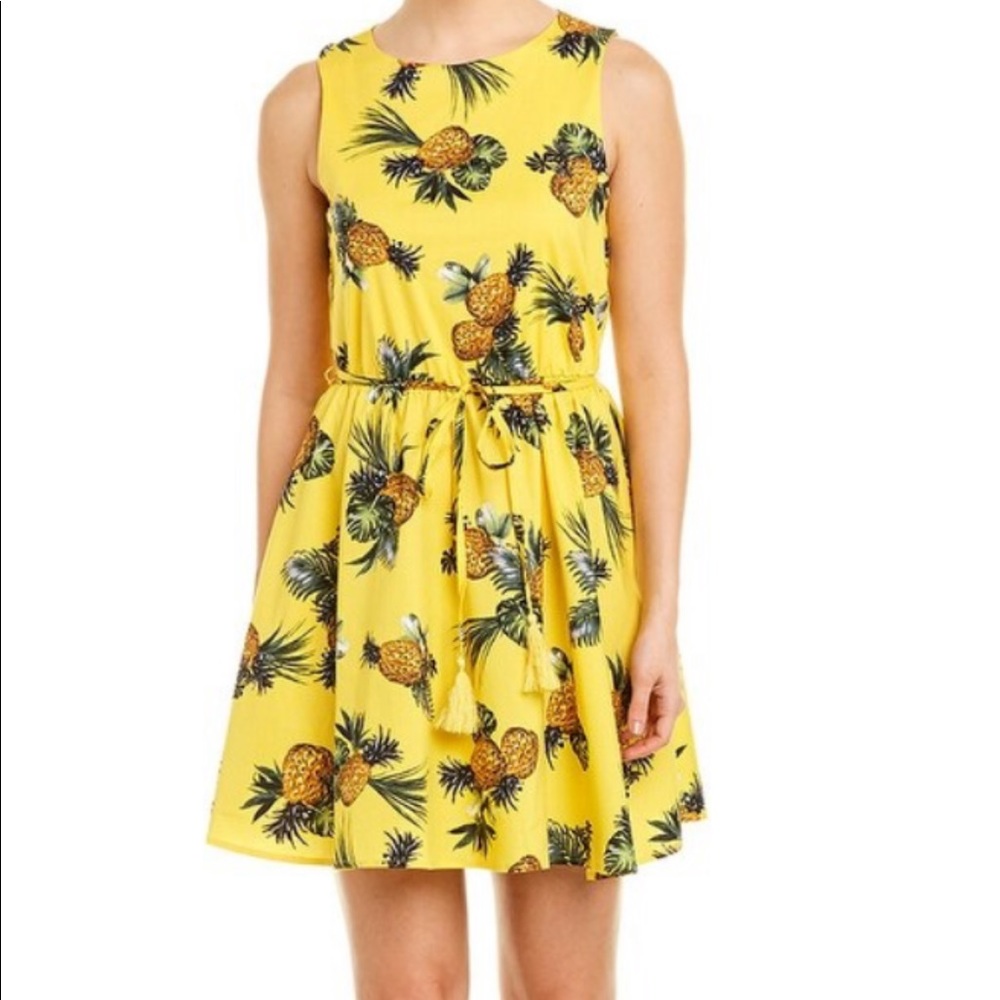 Bailey Blue Pineapple A-Line Dress Size Small